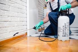 Best Pest Exclusion Services  in Conway, AR